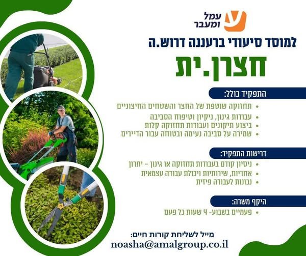 דרוש/ה.ה חצרן.ית למוסד סיעודי ברעננה דרוש.ה חצרן.ית… עוד