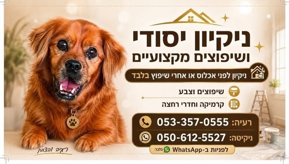 דרוש/ה ניקיון יסודי או שיפוץ מקצועי באשקלון