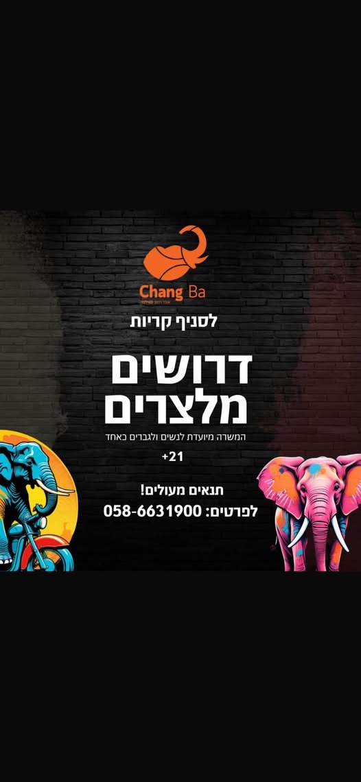 דרוש/ה מלצרים בצאנג בה בקריית ביאליק מסעדת בר קטנה וחמודה