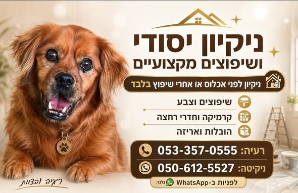 דרוש/ה ניקיון יסודי או שיפוץ מקצועי בירושלים