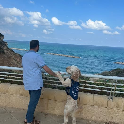 דרוש/ה מישהי עם לב ענק להצטרף לצוות חונכות במודיעין