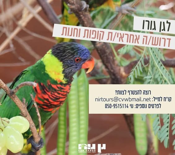 דרוש/ה אחראי/ת חנות וקופות תפקיד דינמי ומגוון הכולל שירות, עבודה בקופות, הזמנת ציוד מול ספקים ו בעפולה