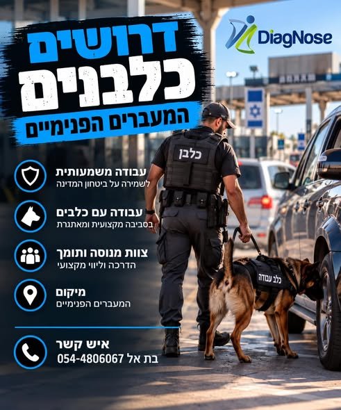דרוש/ה כלבנים וכלבניות בדרום