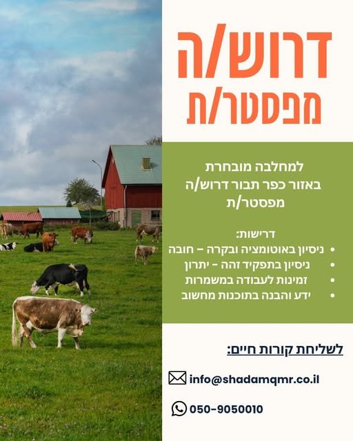 דרושים מפסטרים - מפעילי מכונה בכפר תבור