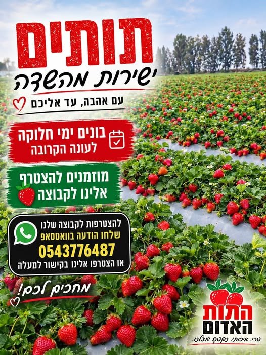 דרוש/ה הנדסאי אזרחי ובניין ומהנדס אזרחי ובניין בכרמיאל