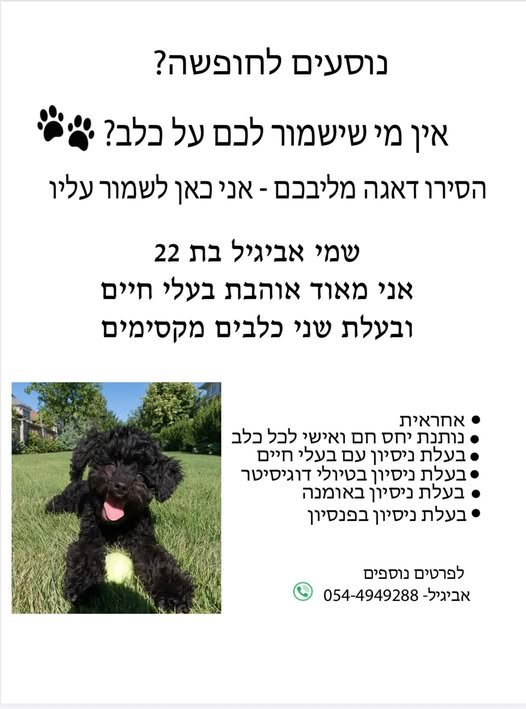 דרוש/ה דוגיסיטר ופטסיטר בכרמיאל